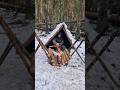 This Self Feeding Fire Will Keep You Warm Throughout The Night Shorts Bushcraft Survivalskills 