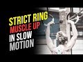 Strict Ring Muscle Up Progression (SLOW MOTION)