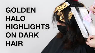 Golden Halo Highlights on Dark Hair | Faux Teasylight Technique | Kenra Color screenshot 2