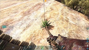 Cactus Sap On Ragnarok (SW Location)
