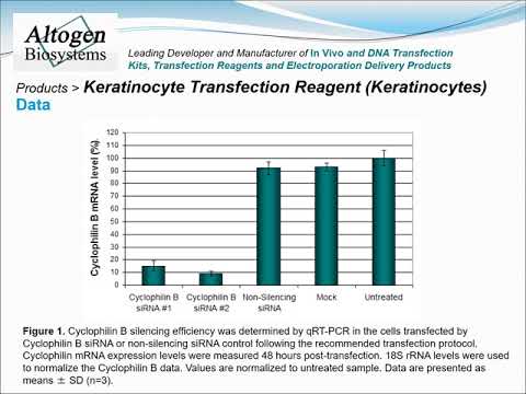 Altogen Biosystems Keratinocyte Transfection Reagent