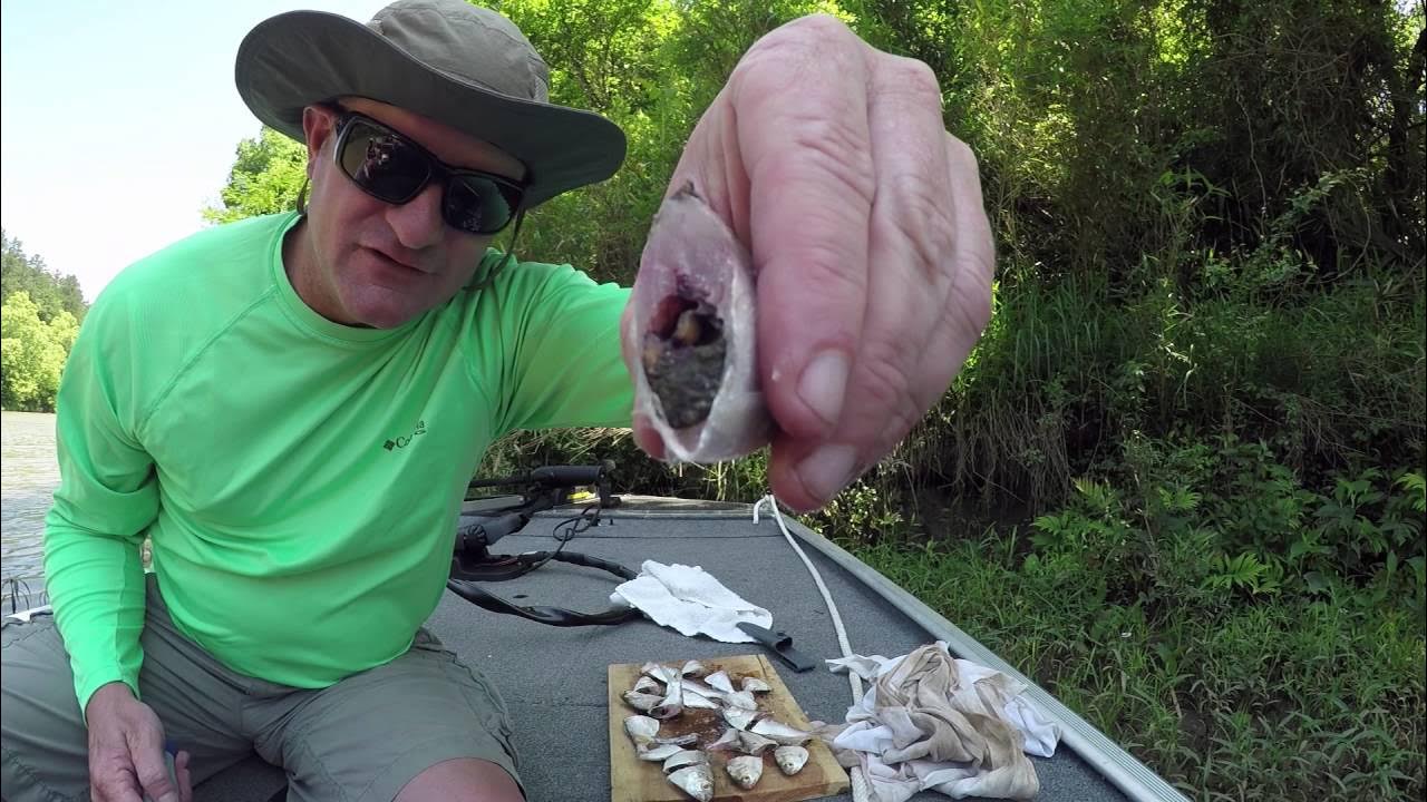 Catfish fishing with jugs YouTube