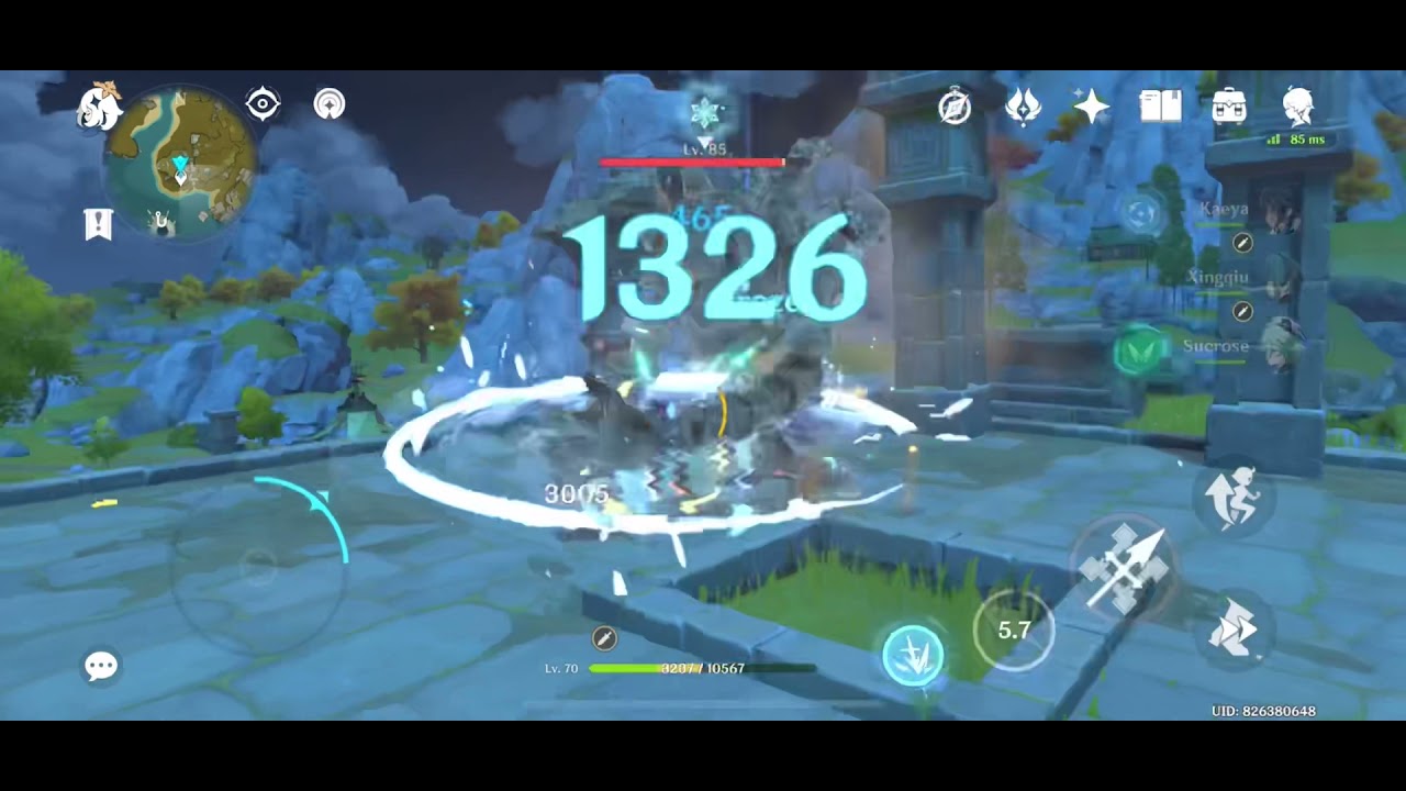 Rosa freeze - Sucrose (~21s)