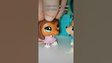 LPS Sage and Savvy be like #lps #littlestpetshop #lpspopular #lpstube #foru #forupage #lpstiktok