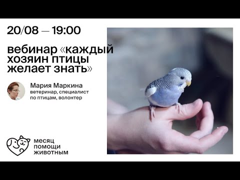 Вебинар "Каждый хозяин птицы желает знать..."