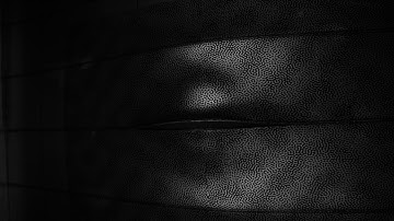 Crack propagation during Digital Image correlation