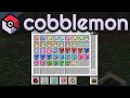 IL BUSINESS della MENTA - Minecraft ITA COBBLEMON #20.1