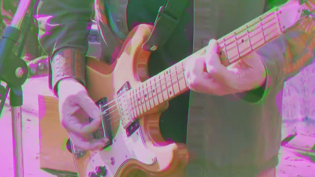 Elf Power - "Undigested Parts" (Official Video)