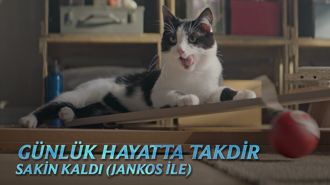 turnuva sözleri Sakin Kaldı - Jankos ile Günlük Hayatta Takdir