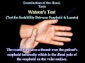 Examination Of The Hand, Tests - Everything You Need To Know - Dr. Nabil Ebraheim