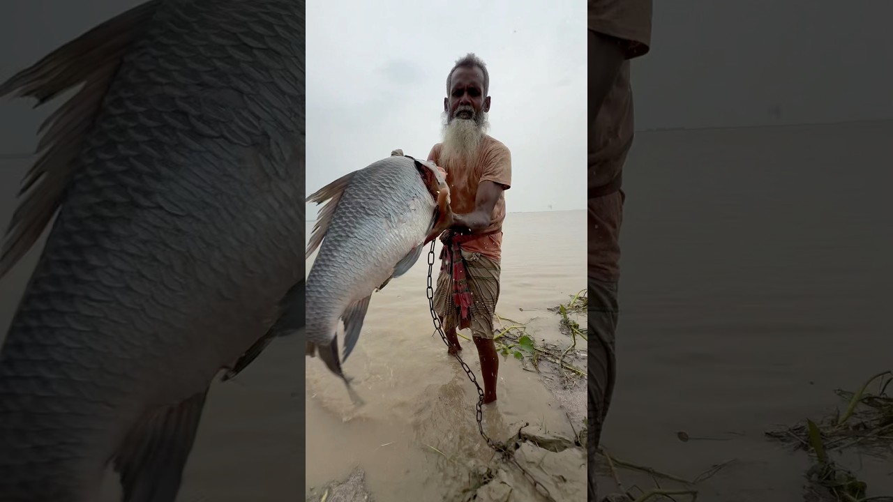 12 kg full fish bait for giant fish catching 