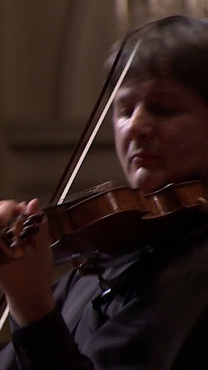 Harmonious Passacaglia: Handel's Musical Journey #handel #shorts #violin