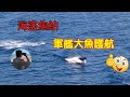 【實拍】亞丁灣海盜瘋狂集結！軍艦大魚威懾群魔！~船員生活實錄