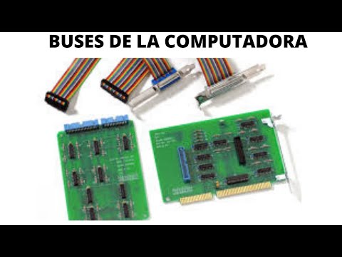 Video: ¿Cuántos tipos de autobuses hay en un sistema informático?