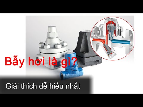 Video: Khi nào ta có thể sử dụng phương pháp phân tách bay hơi?