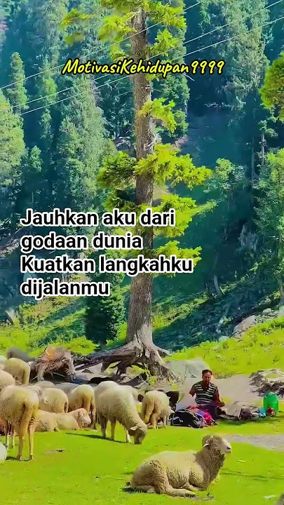 Motivasi Kehidupan ☆ Ya Allah jangan biarkan aku tersesat. #new #shorts #video #viral #motivation