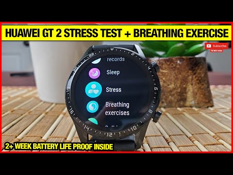 Huawei Watch GT 2 Automatic Stress Test 