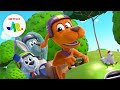 Tag & Scooch’s Greatest Adventures! | Go, Dog. Go! | Netflix Jr