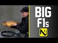 Phil Canning | Big Spring F1s