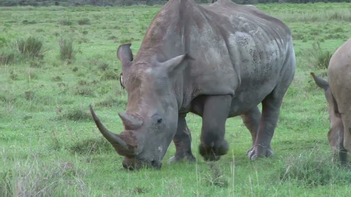 Zimbabwe's Hidden Gems: Top 10 Unmissable Attractions