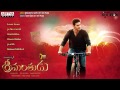 Srimanthudu Full Songs Jukebox Mahesh Babu, Shruthi Hasan, Devi Sri Prasad