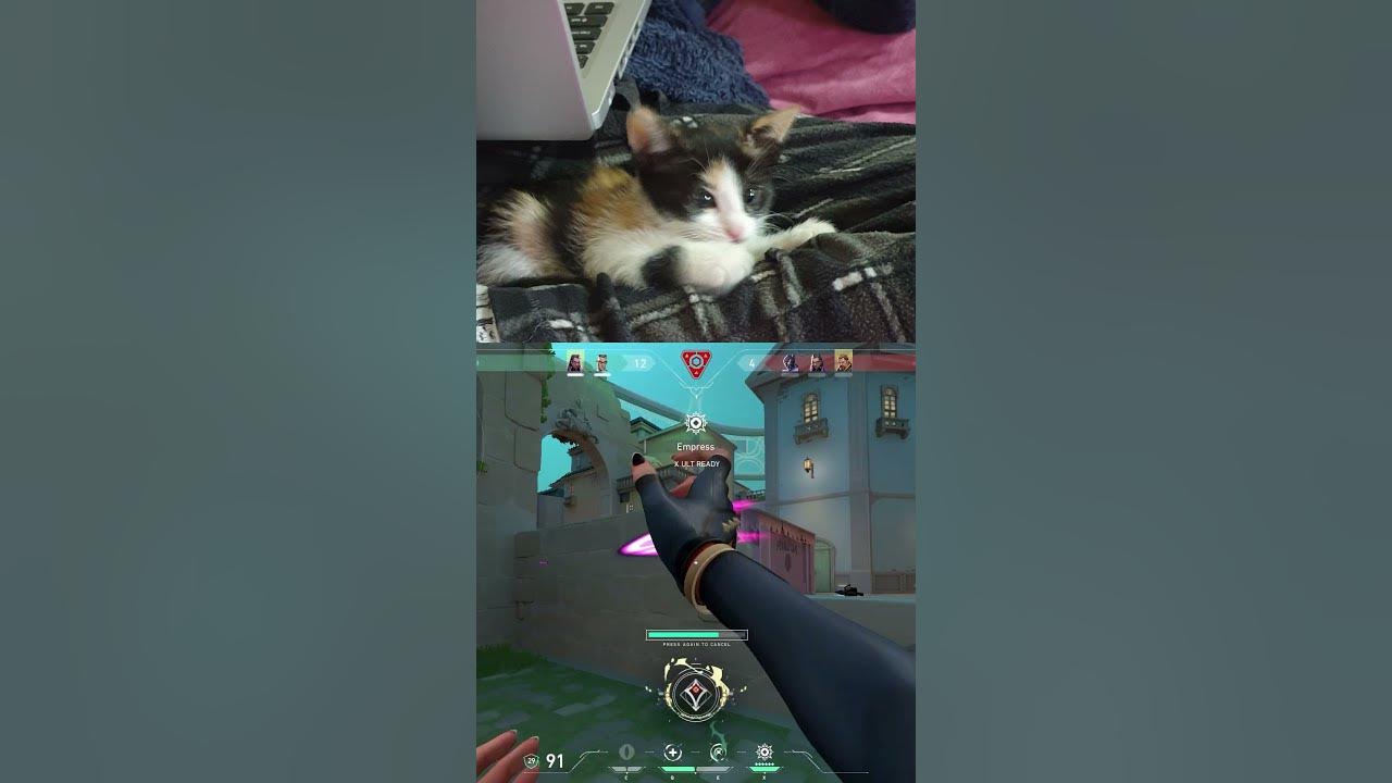 My mouse keeps disconnecting youtube