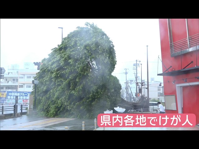 台風6号 けが人は16人に 伊江村では停電復旧作業の男性が感電し心肺
