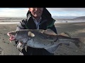 Bristol Channel Beach Fishing. Early Season Cod and Bass. March 2019