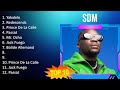 S d m 2023 mix  top 10 best songs