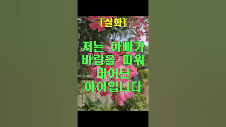 저는 아빠가 바람을 피워 태어난 아이입니다  #오디오북 #노후사연 #인생사연