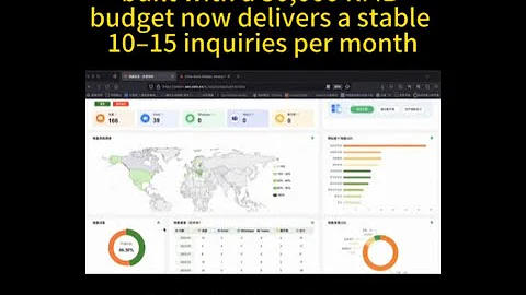 How This Template Website Reached 166 Leads Organically