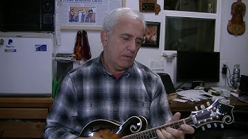 199 RSW Another Custom Rosa Mandolin Sort of