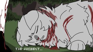 The accident [ Blackfoot and Stonefur ] short animation