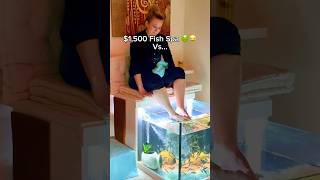 1 500 dollar i fiskspa jämfört med 150 dollar i hemmaspa?! 🤯😮‍💨 #spa #fiskspa #estetiskt #avkopplande #läsning
