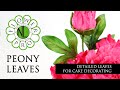 Flower Pro Peony Leaves | Cake Decorating Tutorial With Chef Nicholas Lodge