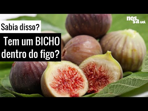 Vídeo: Figos: variedades, descrição, foto