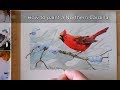 How to paint a Cardinal,  Bird in Watercolor Line and Wash. In real-time. Peter Sheeler