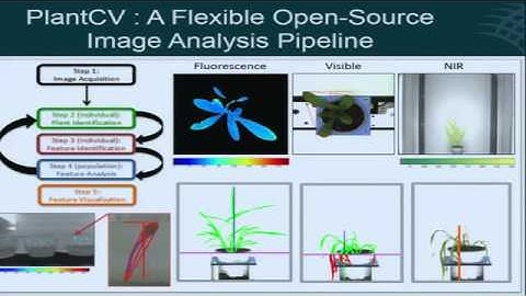 Todd Mockler, High-Throughput Plant Phenotyping, -Omics and Analytics