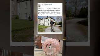 A cool million 😅 #memes #funny #cat #dothingsyoudontwanttodo