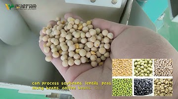 500TPD Pulses Processing Plant, Cleaning 丨Peeling 丨Sorting and Packing---CHINA WIN TONE MACHINERY