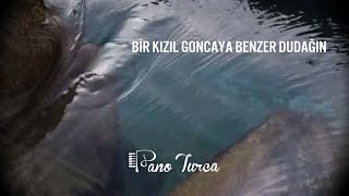 Bir Kızıl Goncaya Benzer Dudağın ( Piyano ) Resimi