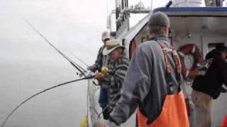 Deep sea Fishing... Kodiak Alaska  Fishing Report and Video(Deep sea Fishing... Kodiak Alaska Fishing Report and Video By Bill Hirst http://www.huntingrelics.com call us at Highland Hill farm for trees and shrubs... Deep ..., 2010-09-05T14:37:35.000Z)