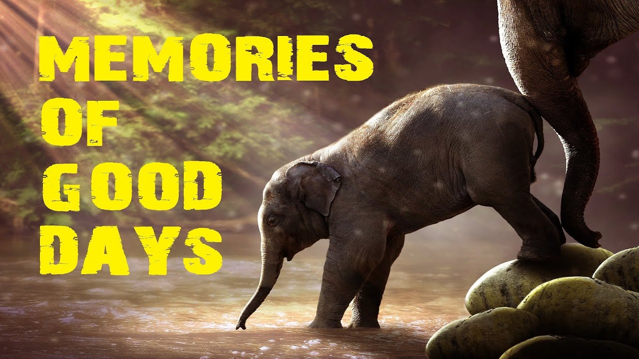 MEMORIES OF GOOD DAYS | Music therapy