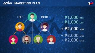 AIM Global Marketing Plan 2017 OPP