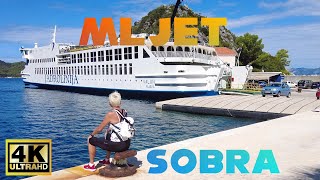 Mljet, Sobra | 4K Walkthrough