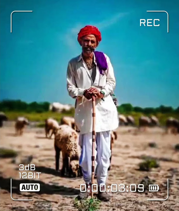 ।।जोबनीयो थारो जातो रियो भजन।। नरसिंह राजपुरोहित
