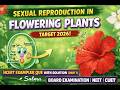 Sexual Reproduction in Flowering Plants | NCERT Exemplar | NEET 2026| Class 12 Biology