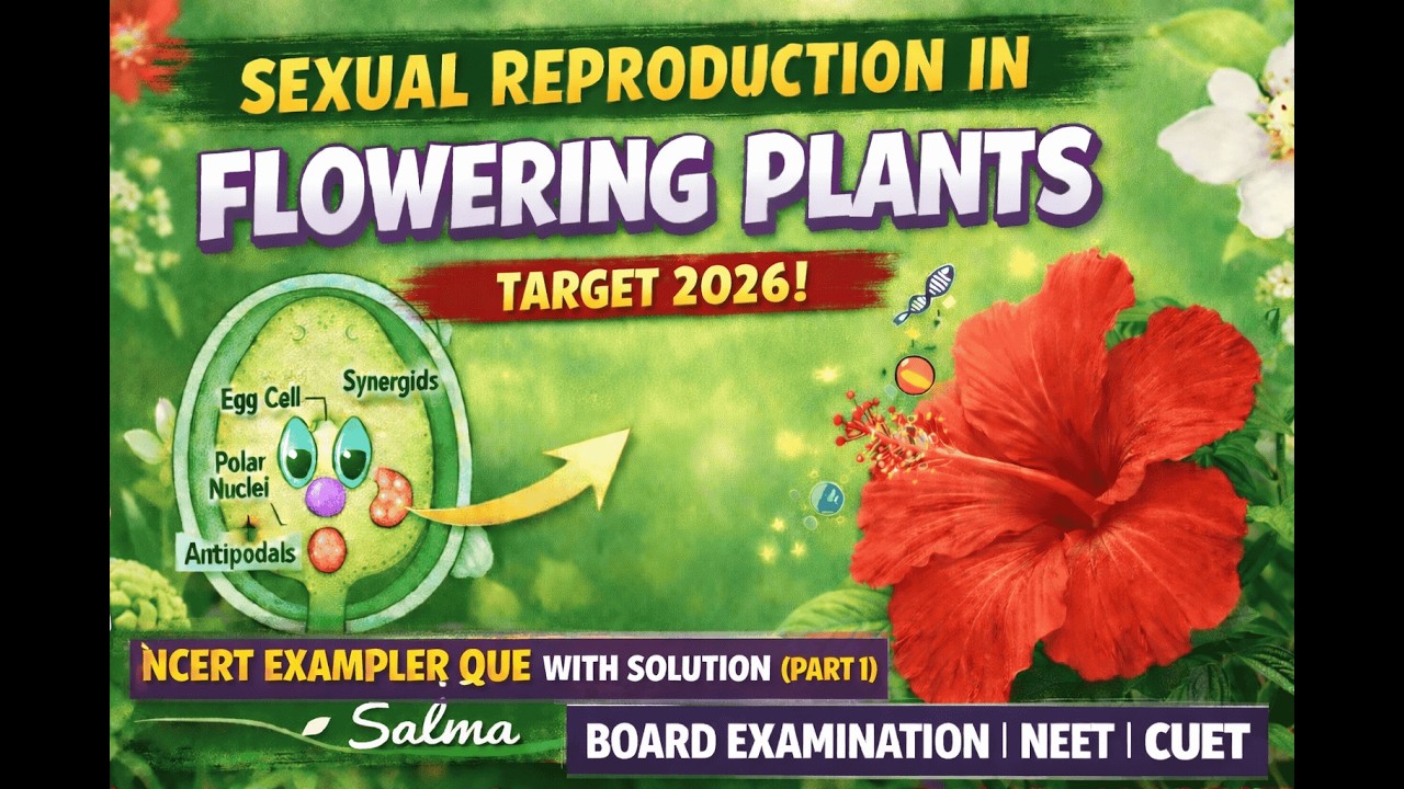 Sexual Reproduction in Flowering Plants | NCERT Exemplar | NEET 2026 ...