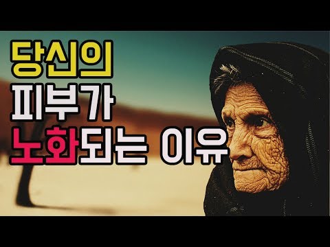 피부가 노화되는 6가지 이유 (피부노화방지/노화방지/노화과정)