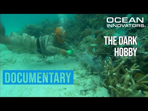 The Dark Hobby Project - Ocean Innovators